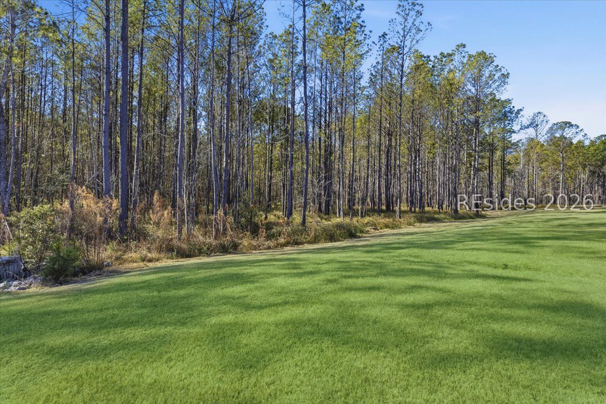 1197 Sunfish Way Bluffton, SC 29909 - Photo 42 of 42