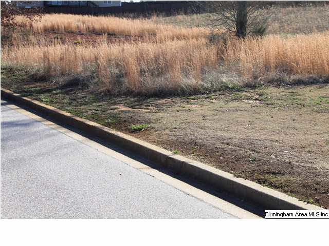 Mount Eagle Lane, Unit 2 Weaver, AL 36277 - Photo 14 of 26