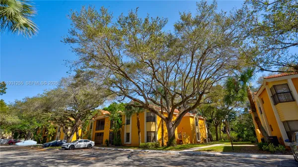 a street view with large trees