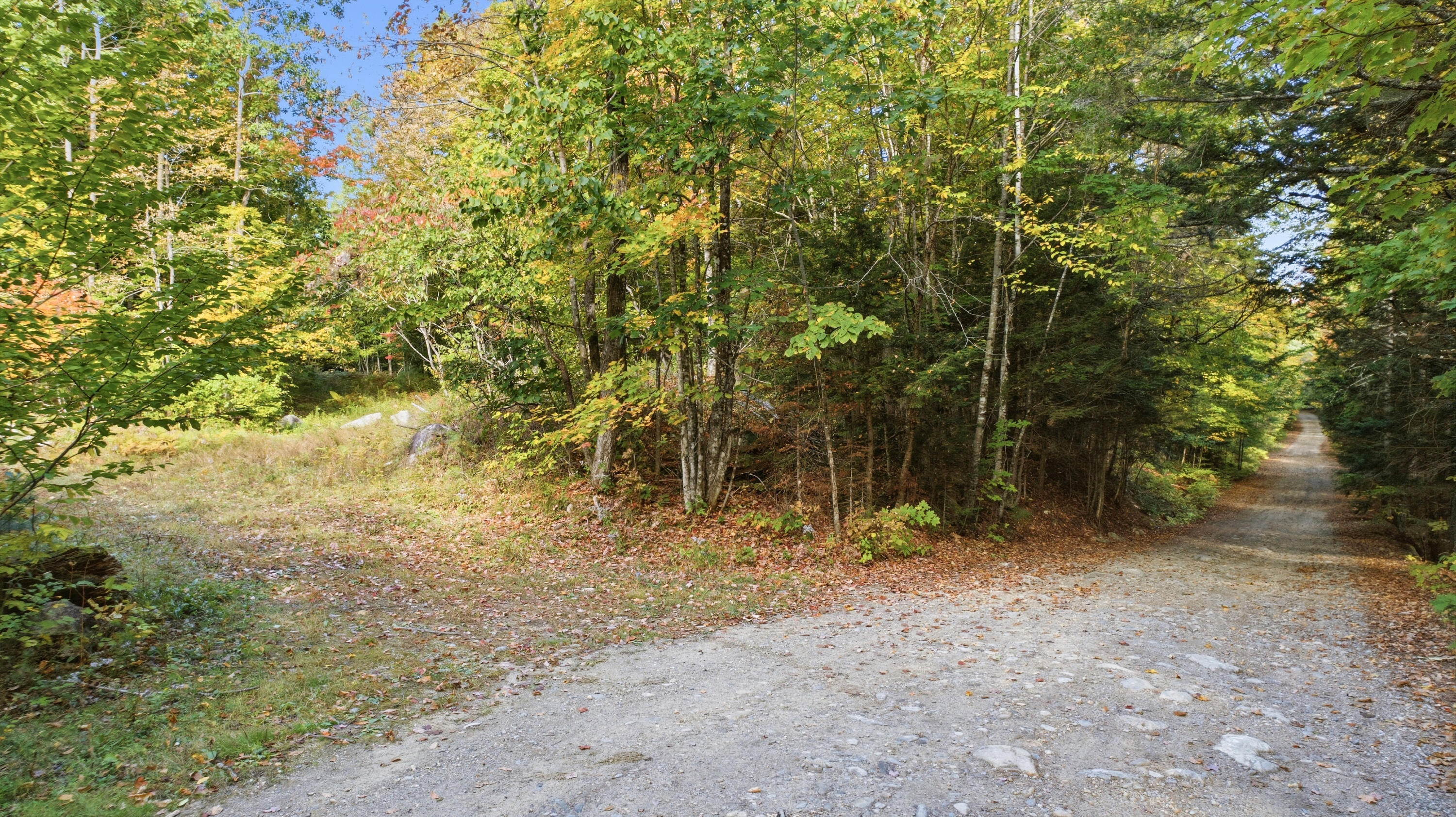 Lot 6 River Road Sumner, ME 04292 - Photo 6 of 39 Lot 6 River Sumner-9