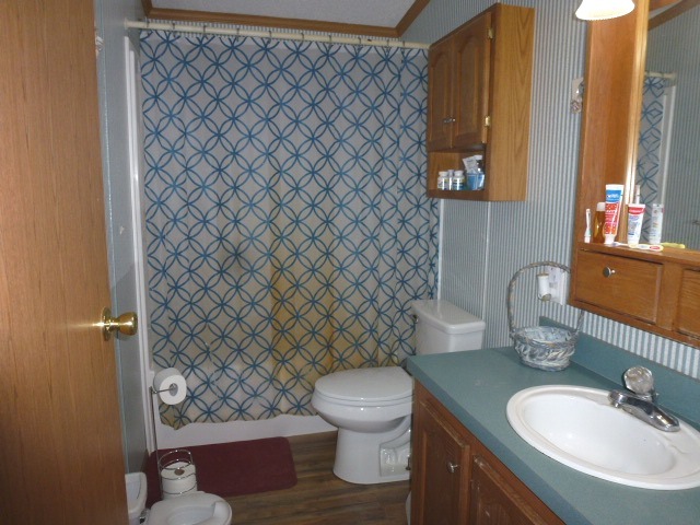 6009 Park Road Clinton, IL 61727 - Photo 11 of 15 a bathroom with a sink and a toilet