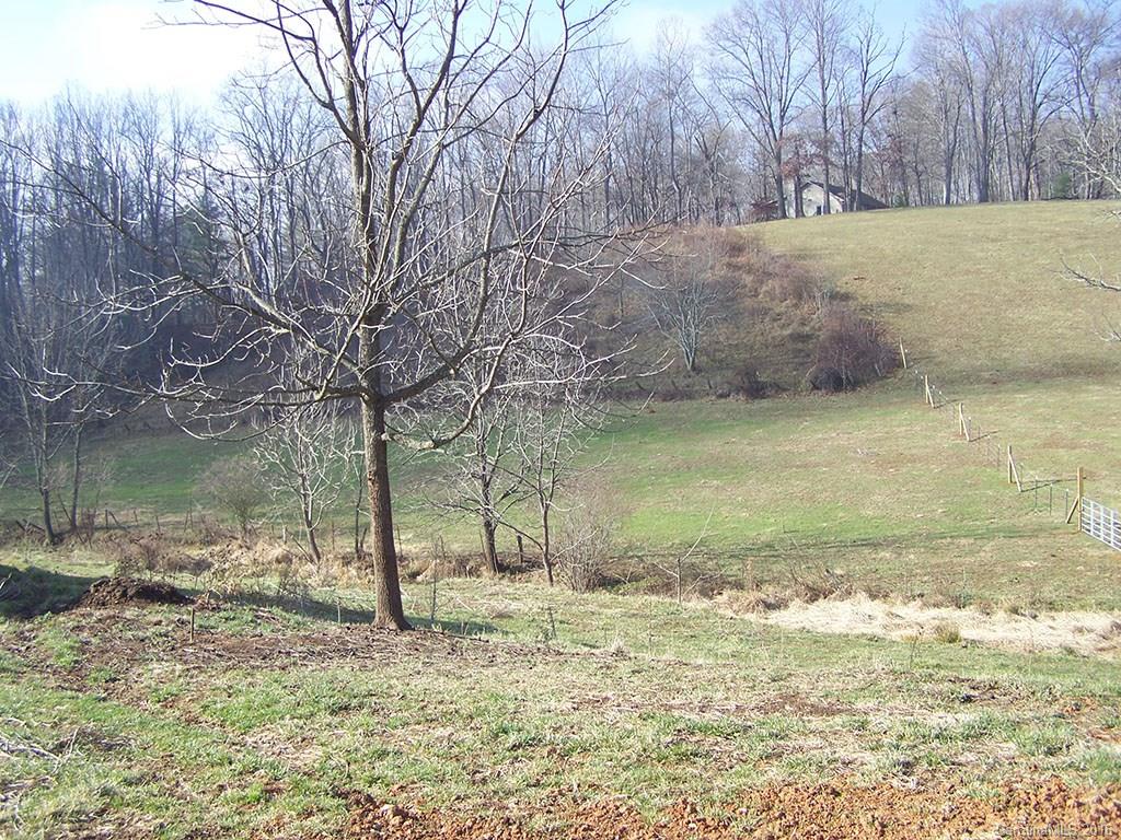 430 Carswell Road, Unit 1 Clyde, NC 28721 - Photo 8 of 23 a view of a lake with a yard
