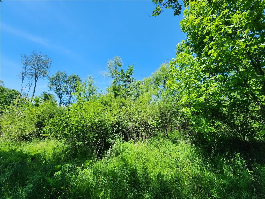 0 Irish Ridge Road Stoneboro, PA 16153 - Photo 7 of 12