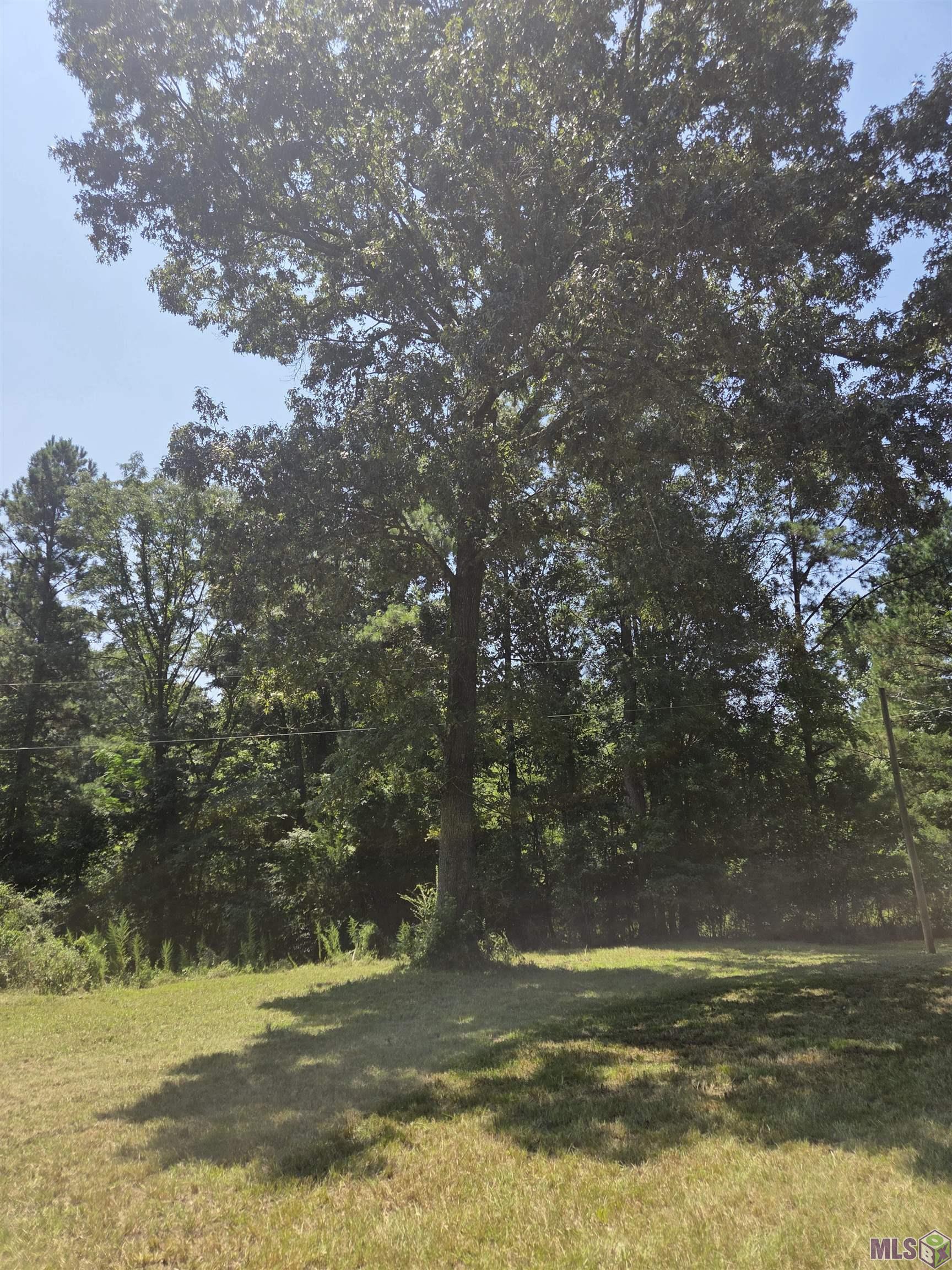 488 Salisbury Road Woodville, MS 39669 - Photo 20 of 23