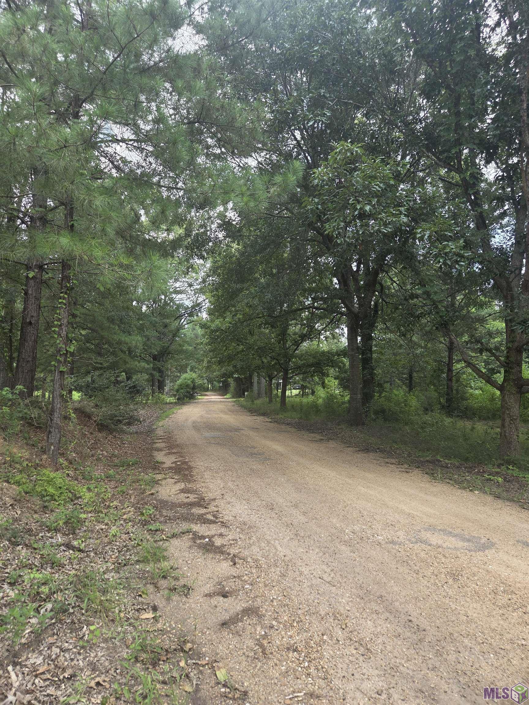 488 Salisbury Road Woodville, MS 39669 - Photo 22 of 23