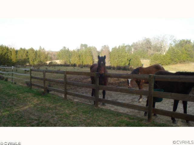 4220 Whitehall Road Sandy Hook, VA 23153 - Photo 3 of 3 Land - Horses and cattle permitted, existing farmh