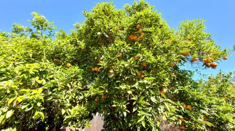 $574,900 | 544 B Street, Hollister, CA 95023