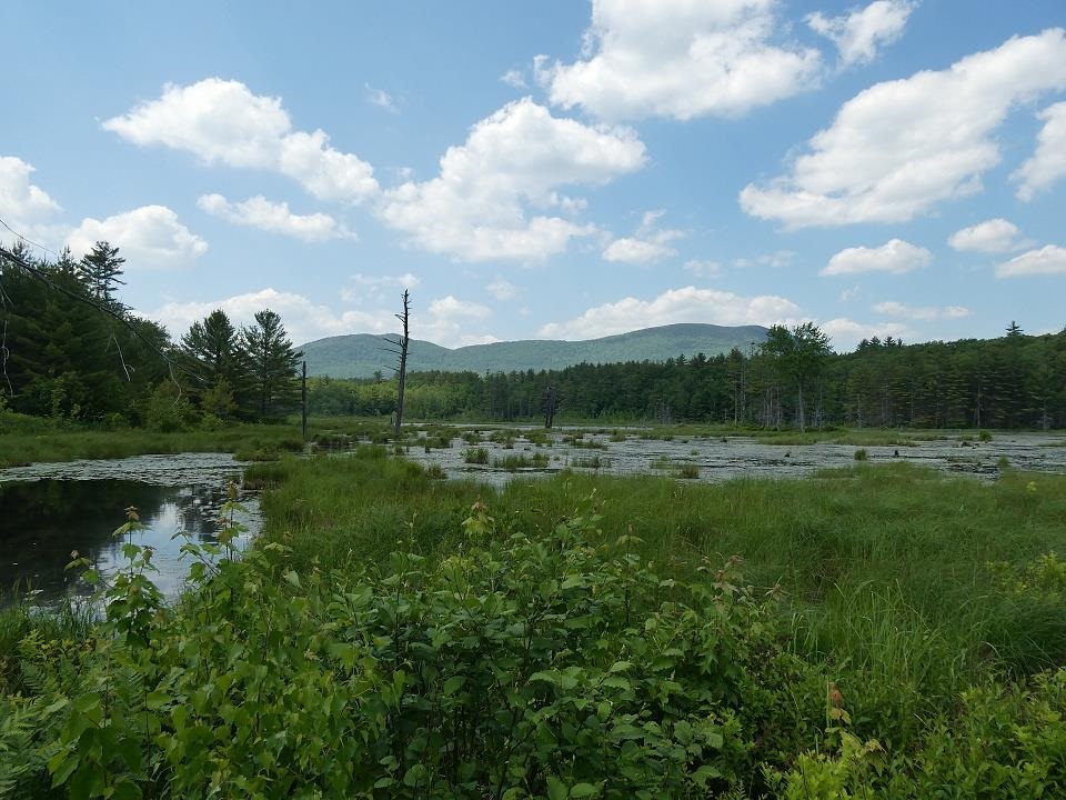 243 Holderness Road Sandwich, NH 03227 - Photo 5 of 40