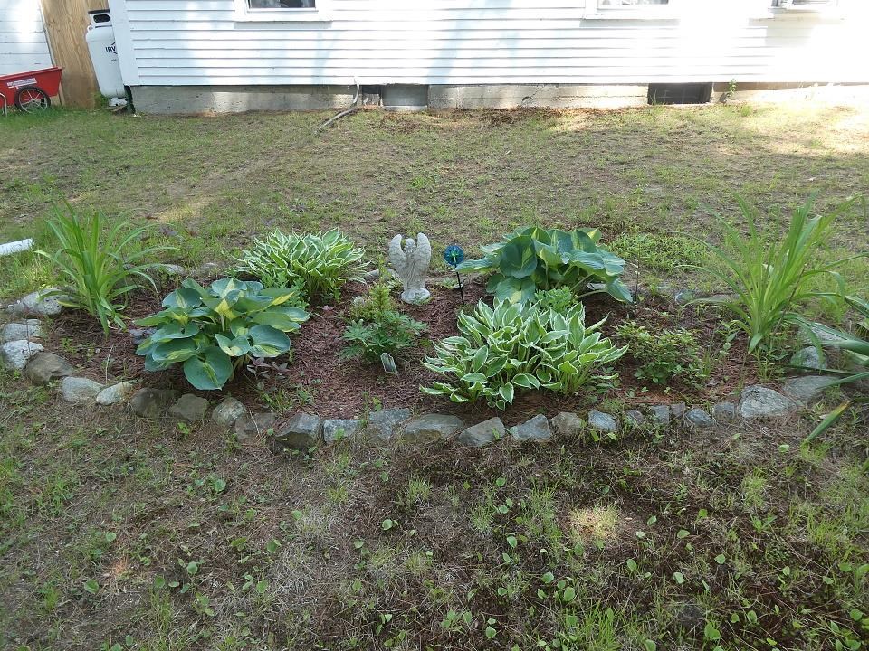 243 Holderness Road Sandwich, NH 03227 - Photo 8 of 40