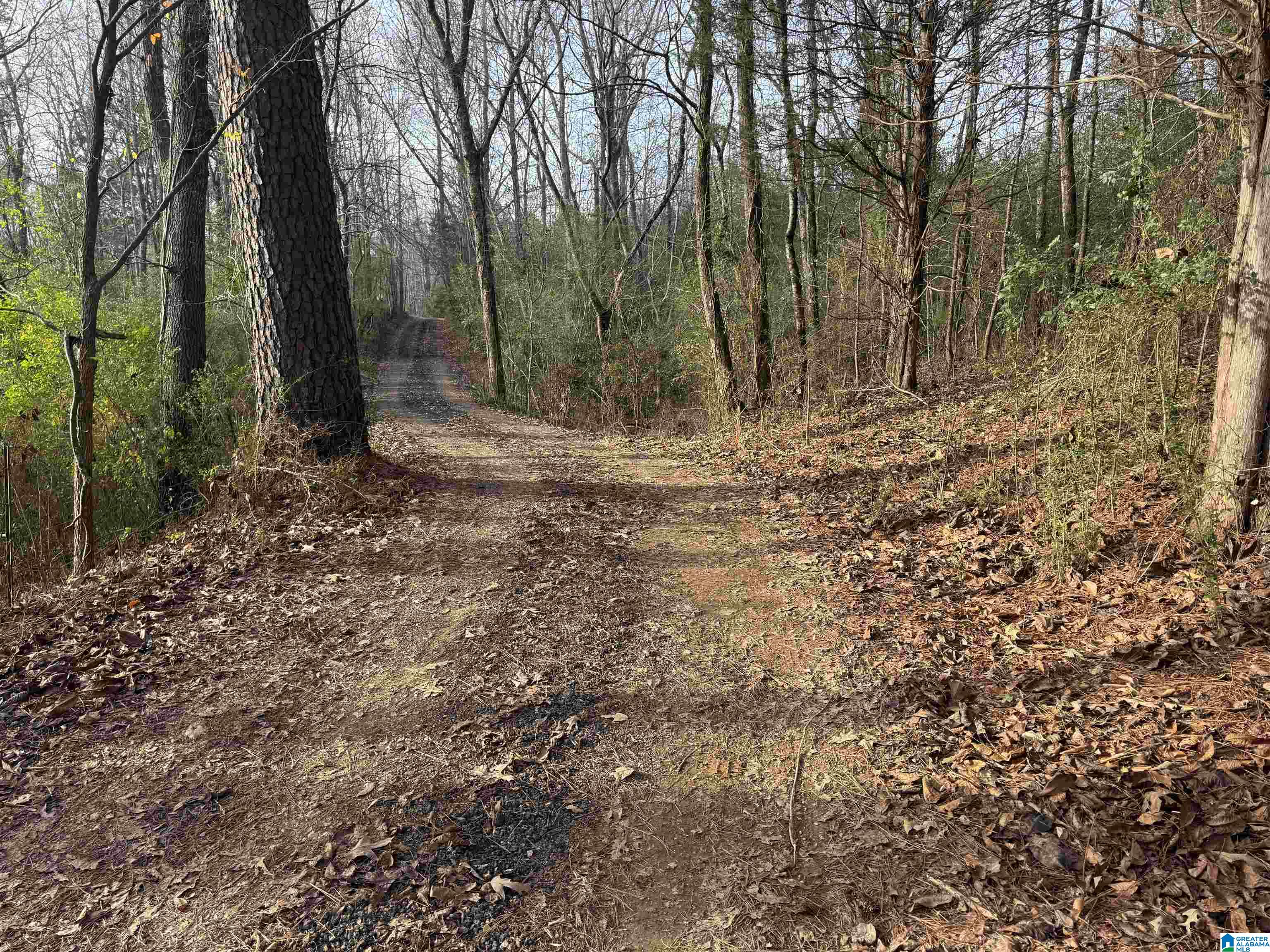 33412 Highway 79 Cleveland, AL 35049 - Photo 38 of 39
