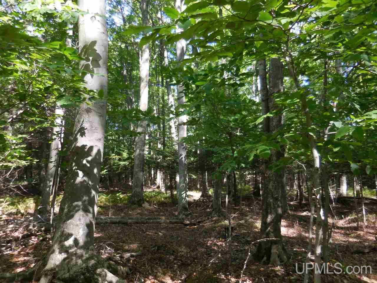 1390 Schnurer Road Manistique, MI 49854 - Photo 6 of 9 Gallery Image 6