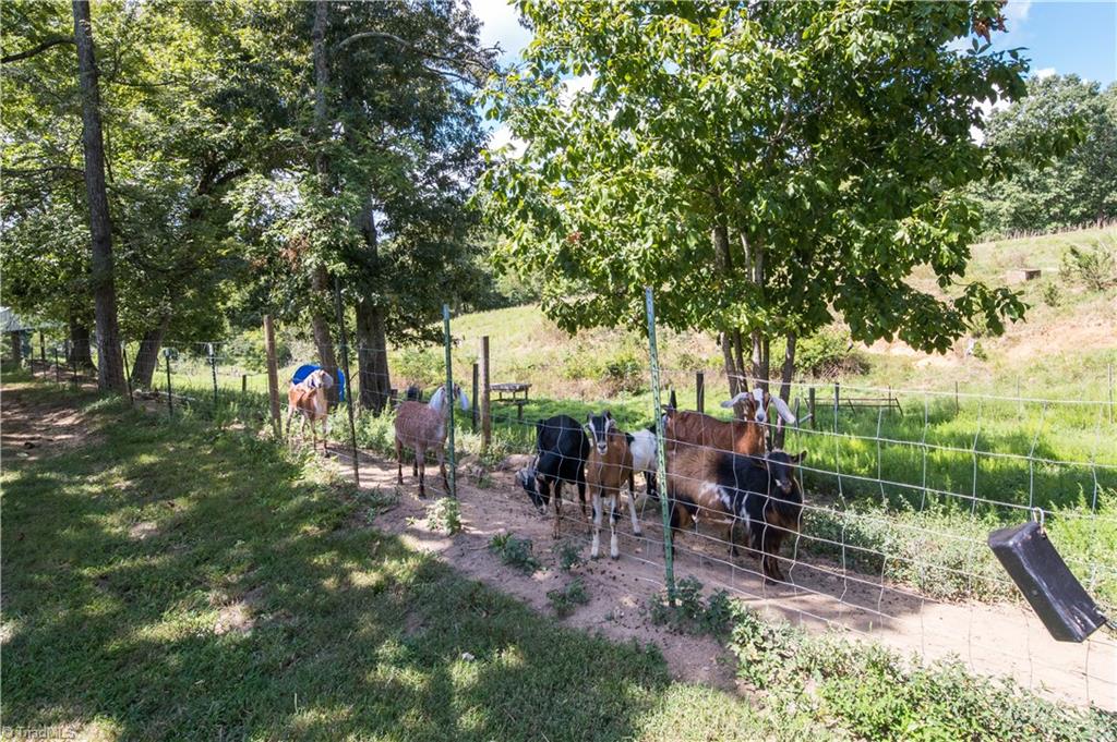 3832 Millers Mill Road Trinity, NC 27370 - Photo 41 of 41
