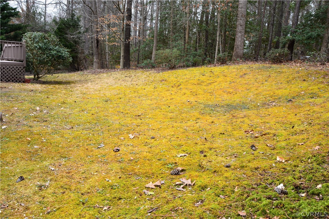 2541 Brookforest Road Midlothian, VA 23112 - Photo 18 of 21