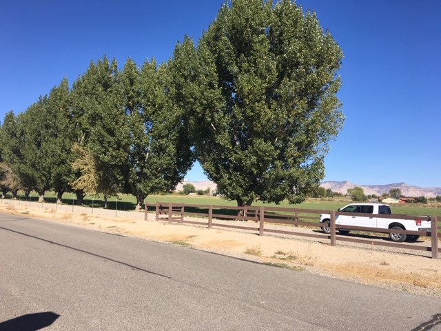 1778 North 3/10 Road Fruita, CO 81521 - Photo 3 of 6 a view of street with parked cars