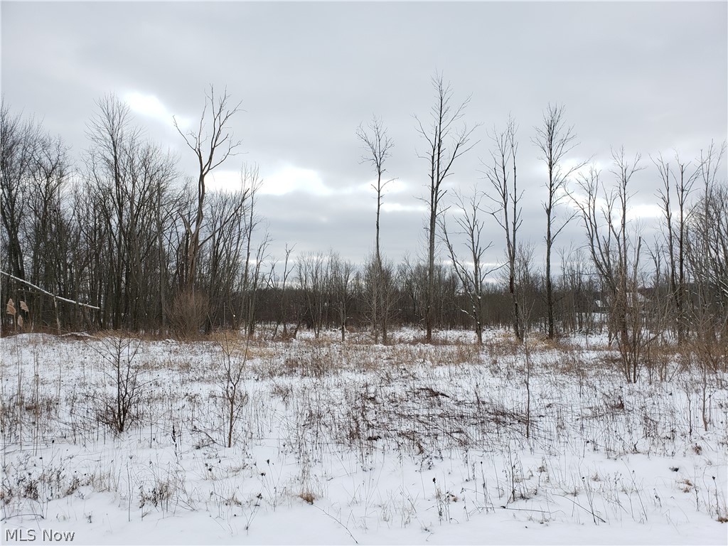 V/l Call Road Stow, OH 44224 - Photo 2 of 5