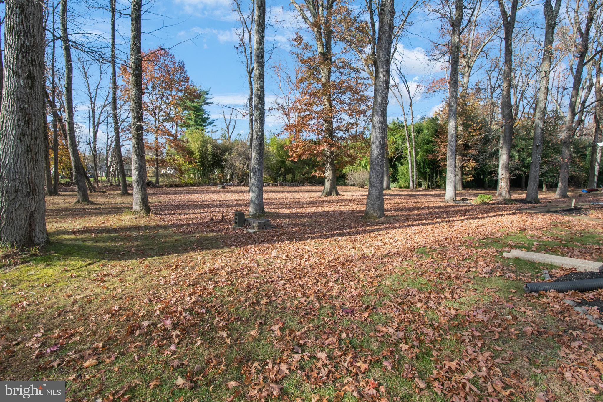 155 Franklin Corner Road Lawrence Township, NJ 08648 - Photo 25 of 29 a view of a yard with a fountain