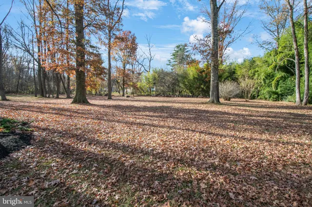 a view of a yard with large trees