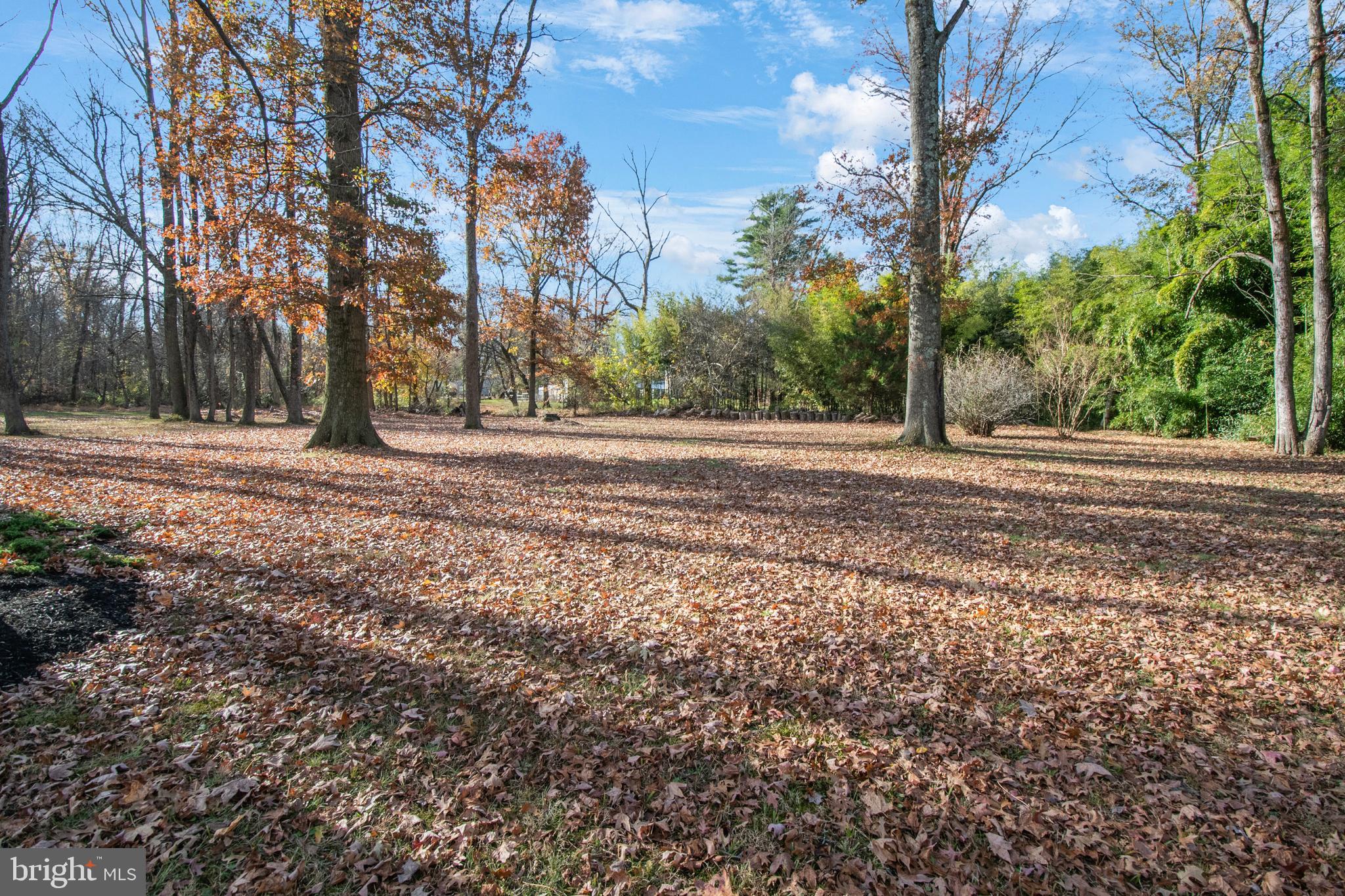 155 Franklin Corner Road Lawrence Township, NJ 08648 - Photo 26 of 29 a view of a yard with large trees