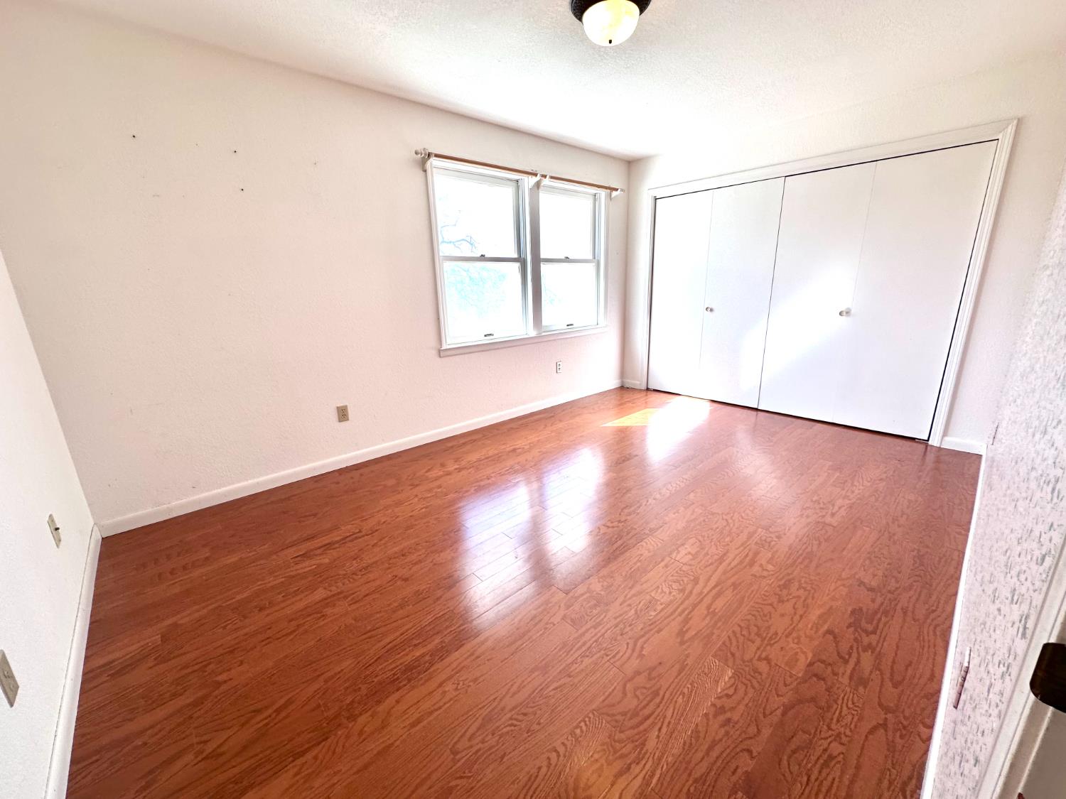 1933 Appaloosa Road Angels Camp, CA 95222 - Photo 27 of 75 an empty room with wooden floor and windows