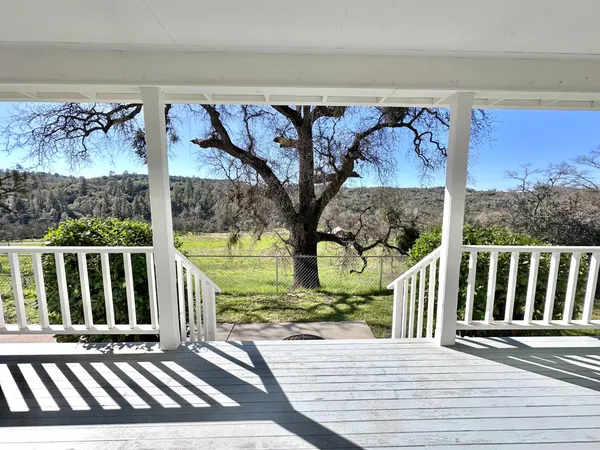a view of a garden with an outdoor space