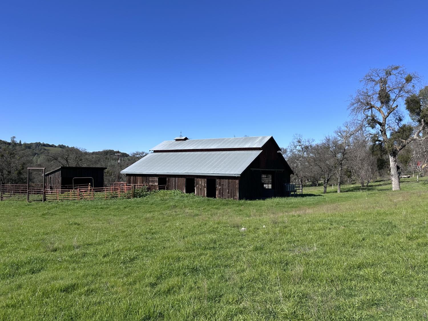 1933 Appaloosa Road Angels Camp, CA 95222 - Photo 48 of 75 a view of a big house with a big yard and large trees