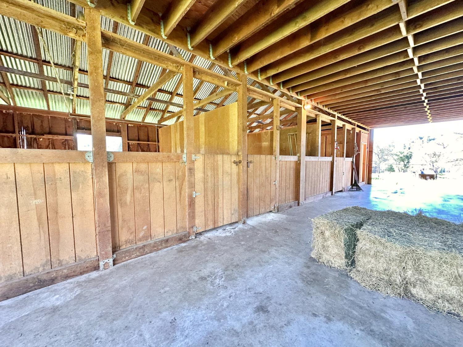 1933 Appaloosa Road Angels Camp, CA 95222 - Photo 51 of 75 a view of a back yard of a building