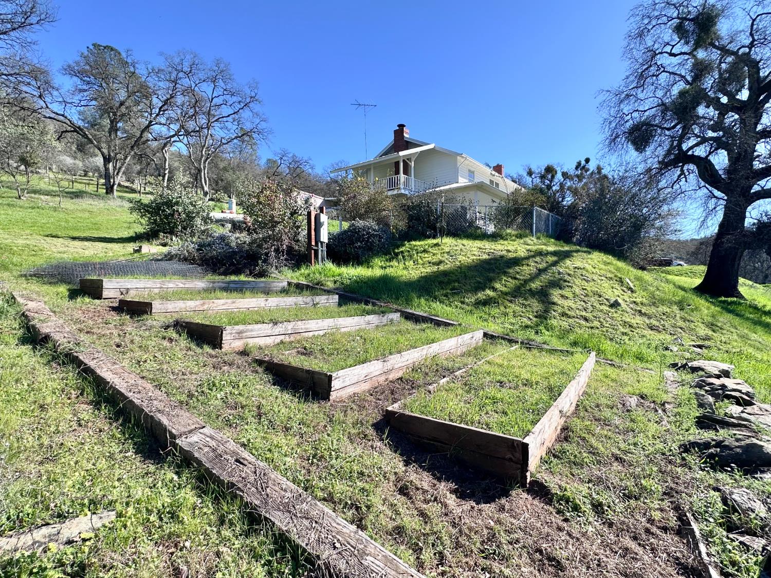 1933 Appaloosa Road Angels Camp, CA 95222 - Photo 55 of 75 a view of a garden with a yard