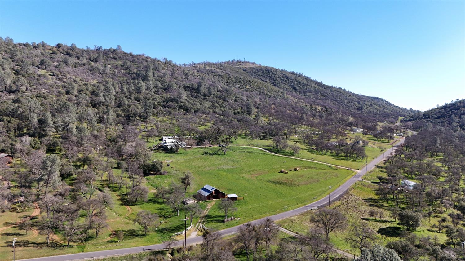 1933 Appaloosa Road Angels Camp, CA 95222 - Photo 73 of 75 a view of a field with an outdoor space