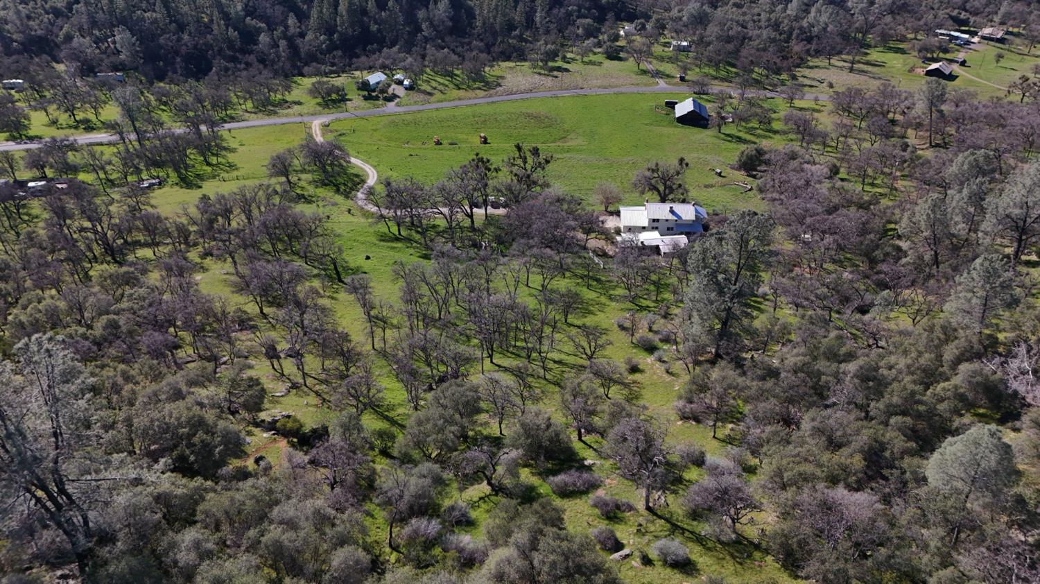 1933 Appaloosa Road Angels Camp, CA 95222 - Photo 75 of 75 a view of a garden with a building