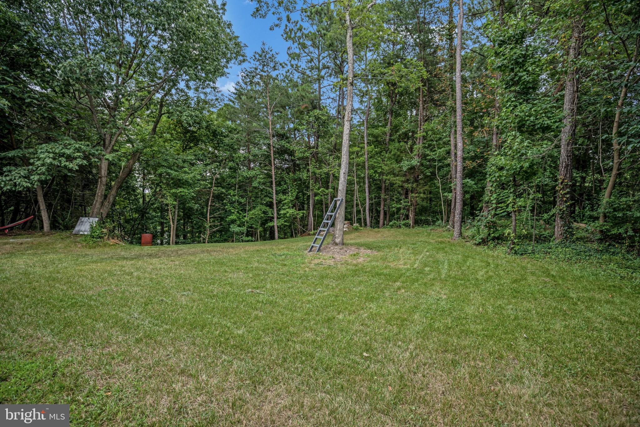 285 Hilltop Road Lusby, MD 20657 - Photo 5 of 28 Large Level Rear Yard
