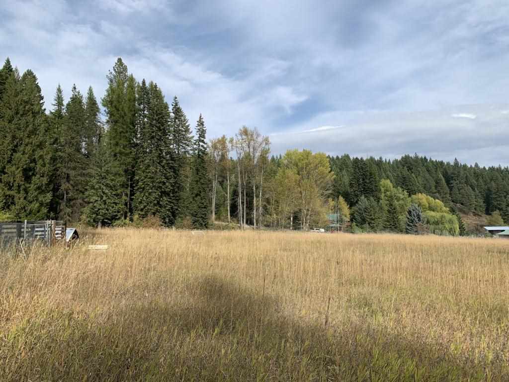 899 Bentley Road Colville, WA 99114 - Photo 35 of 39