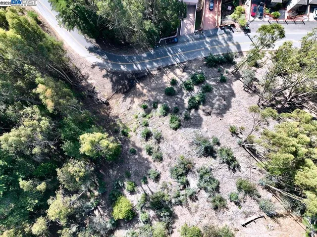 a view of a yard with a tree