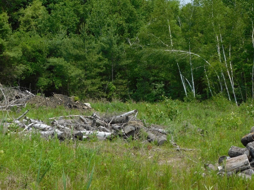 207 Putnam Hill Road Sutton, MA 01590 - Photo 13 of 15 a view of a garden with a lake
