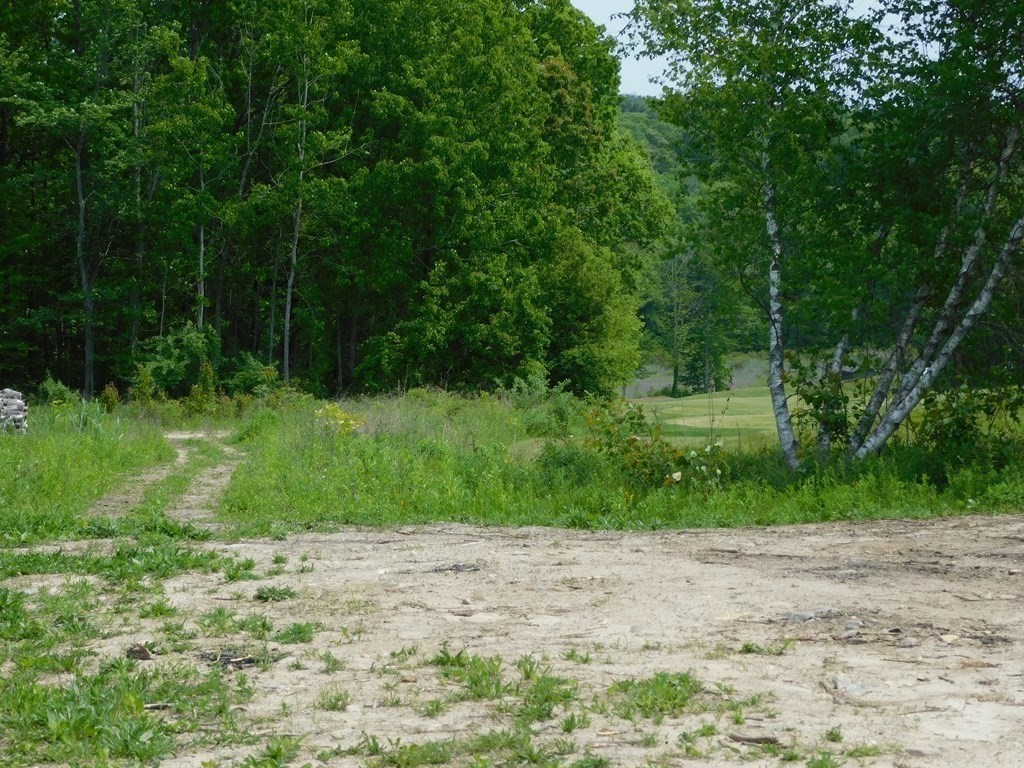 207 Putnam Hill Road Sutton, MA 01590 - Photo 14 of 15 a view of a park