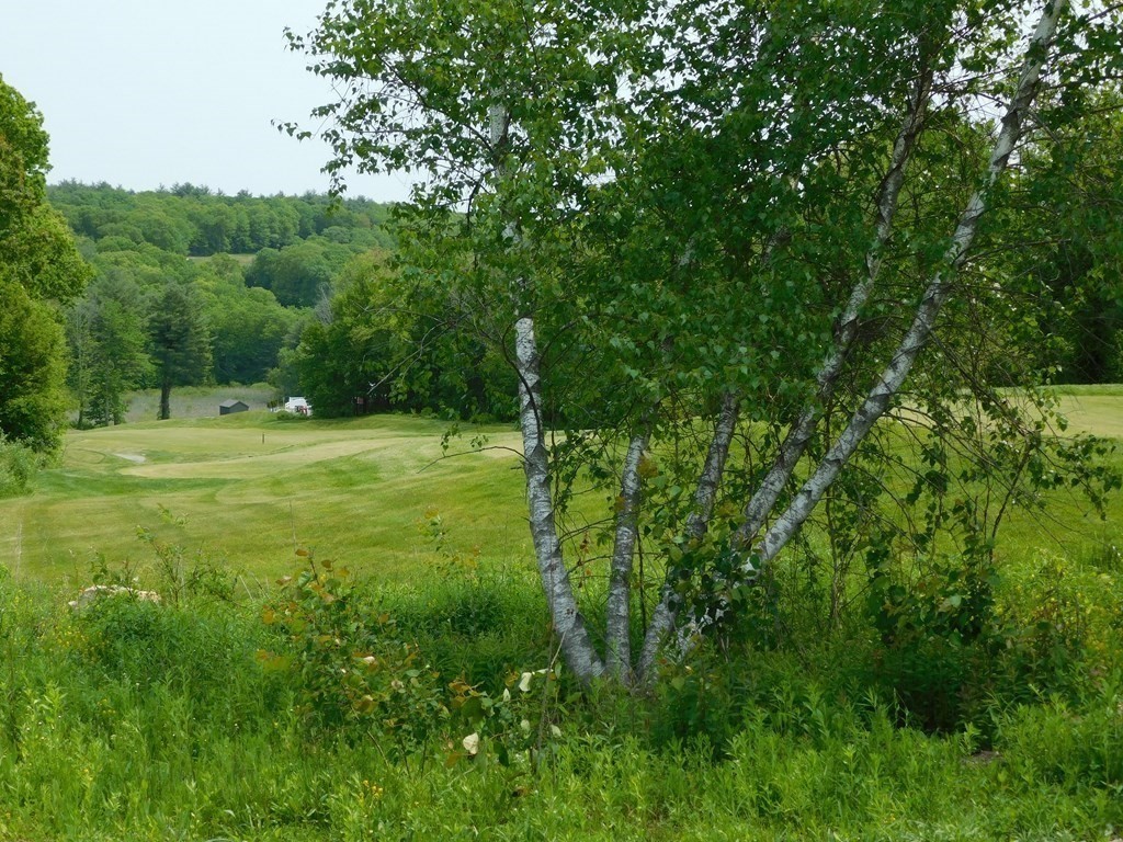 207 Putnam Hill Road Sutton, MA 01590 - Photo 6 of 15 a view of outdoor space with trees all around
