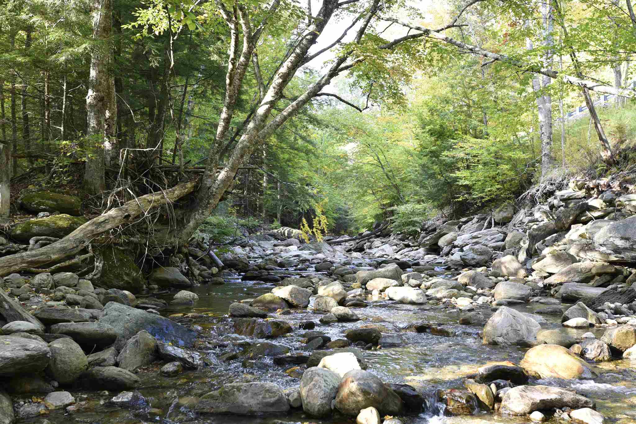 3833 Brandon Mountain Road Rochester, VT 05767 - Photo 19 of 31 Gallery Image 19