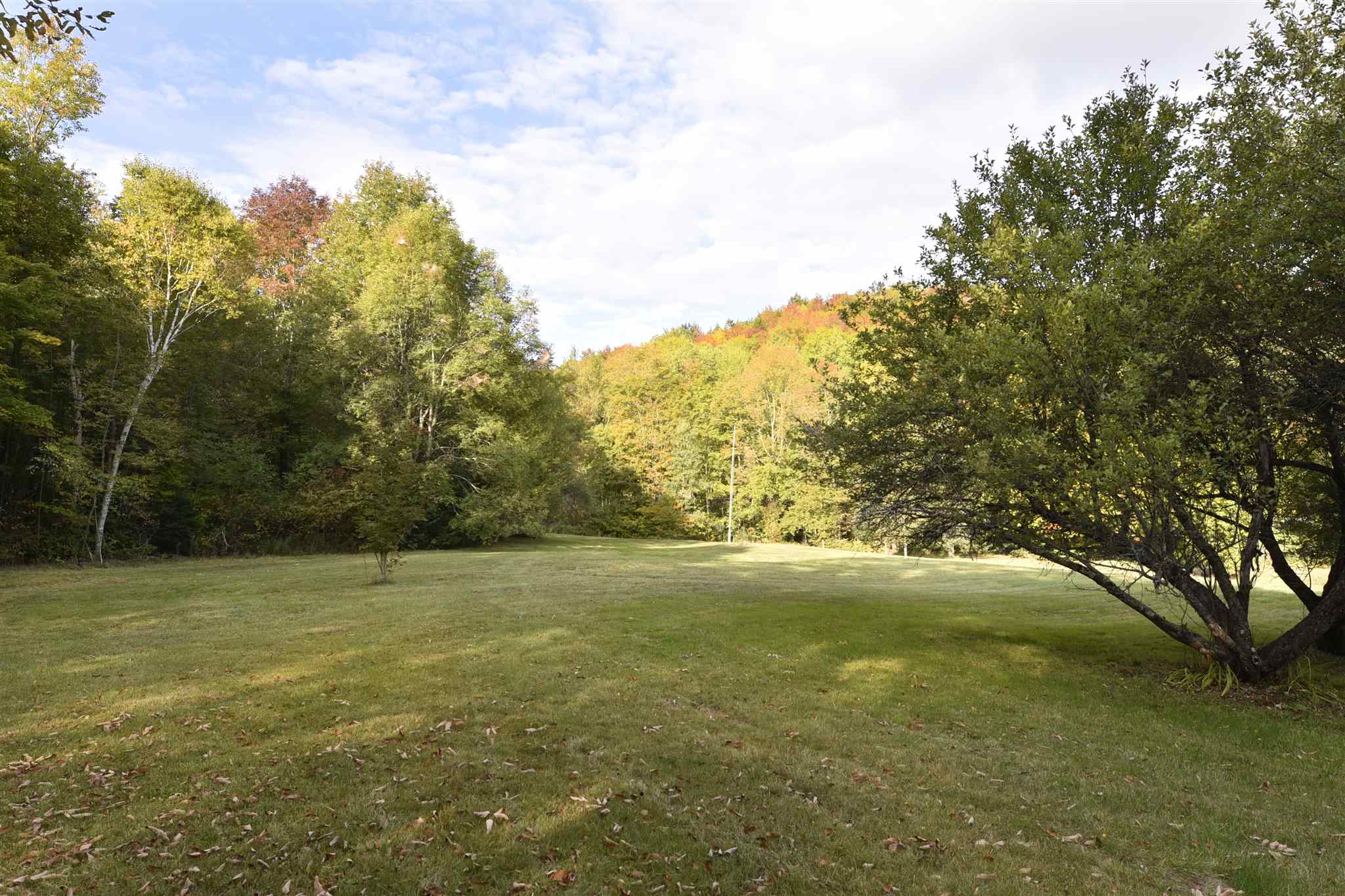 3833 Brandon Mountain Road Rochester, VT 05767 - Photo 7 of 31 Gallery Image 7