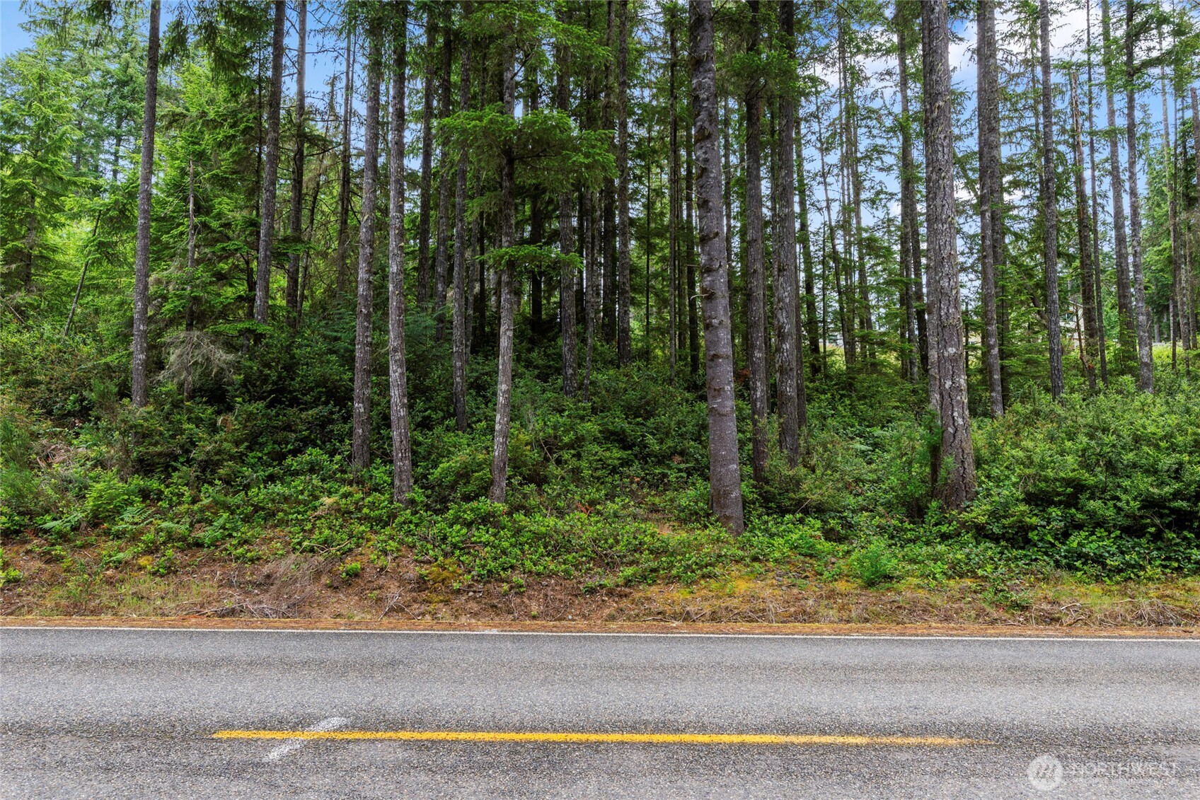 4611 East Rasor Road Belfair, WA 98528 - Photo 1 of 15 Gallery Image 1
