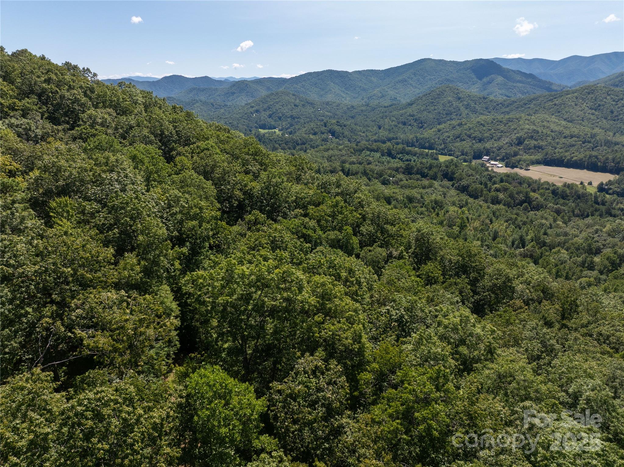 9999 Cindy Cove Road Robbinsville, NC 28771 - Photo 14 of 28