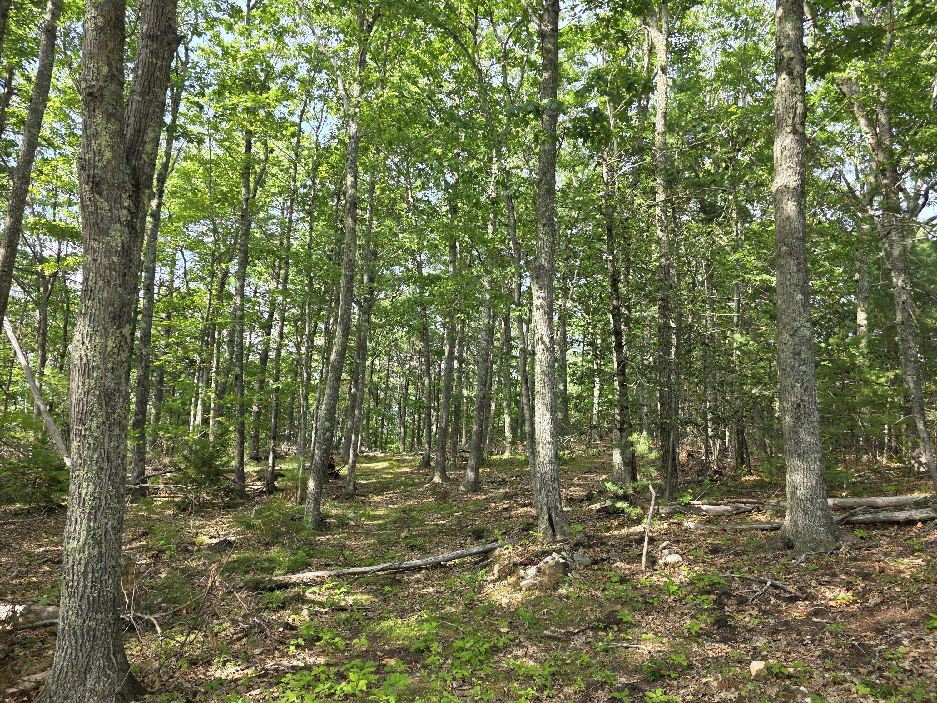 0 Pinnacle Road Liberty, ME 04949 - Photo 11 of 12