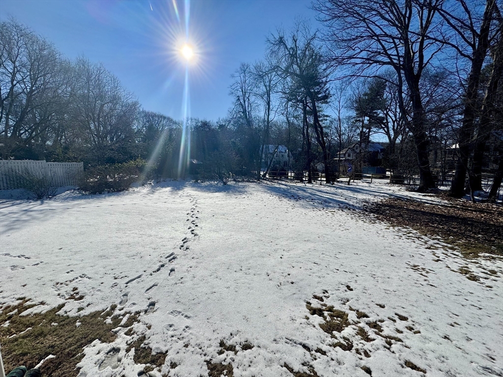 45 Beverly Road Brookline, MA 02467 - Photo 40 of 42 a view of road and trees
