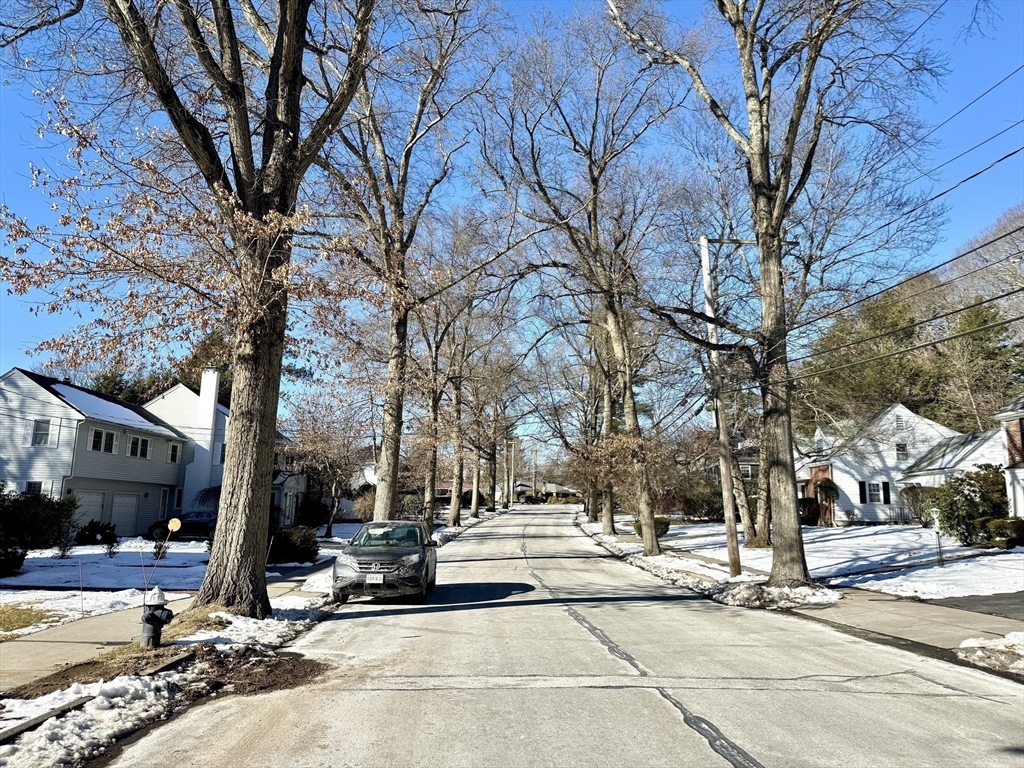 45 Beverly Road Brookline, MA 02467 - Photo 42 of 42 a view of a street with houses on the road