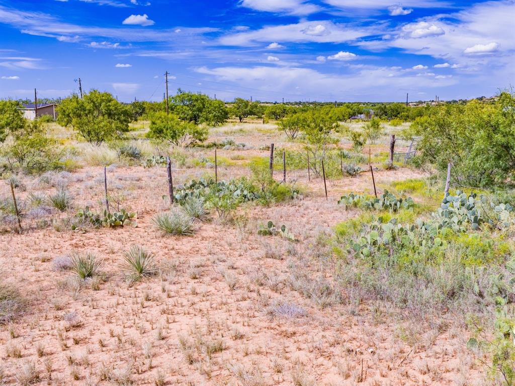2949 Landers Road San Angelo, TX 76905 - Photo 13 of 26 a view of a yard