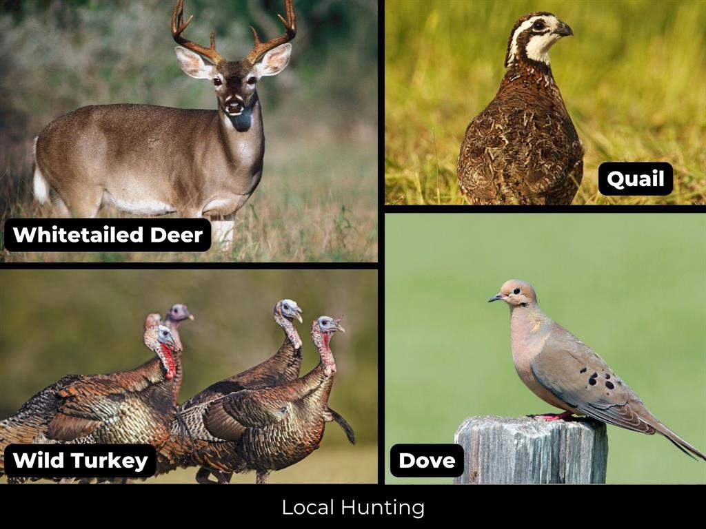 2949 Landers Road San Angelo, TX 76905 - Photo 17 of 26