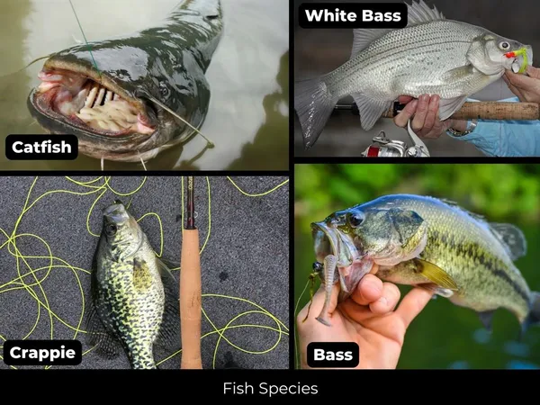 a bird view of location