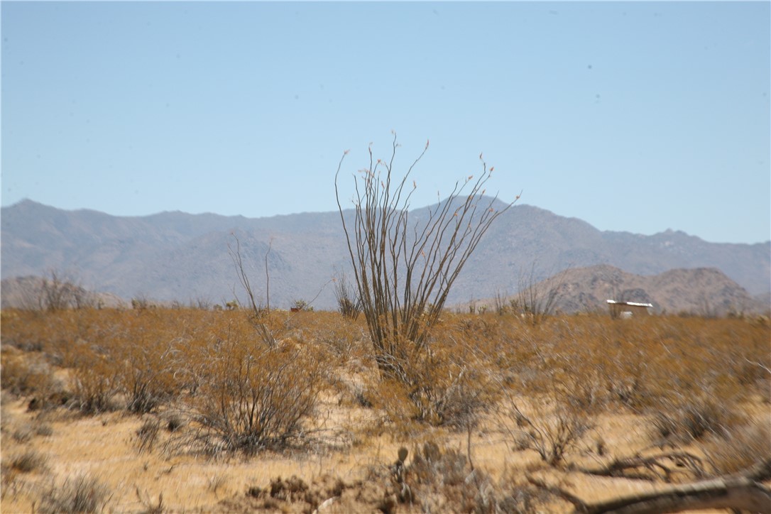 207-17-097 South Cameron Road Yucca, AZ 86438 - Photo 17 of 34