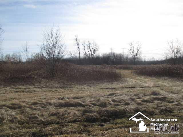 0 Corkins Carleton, MI 48117 - Photo 3 of 6