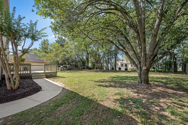 a view of a backyard with tree