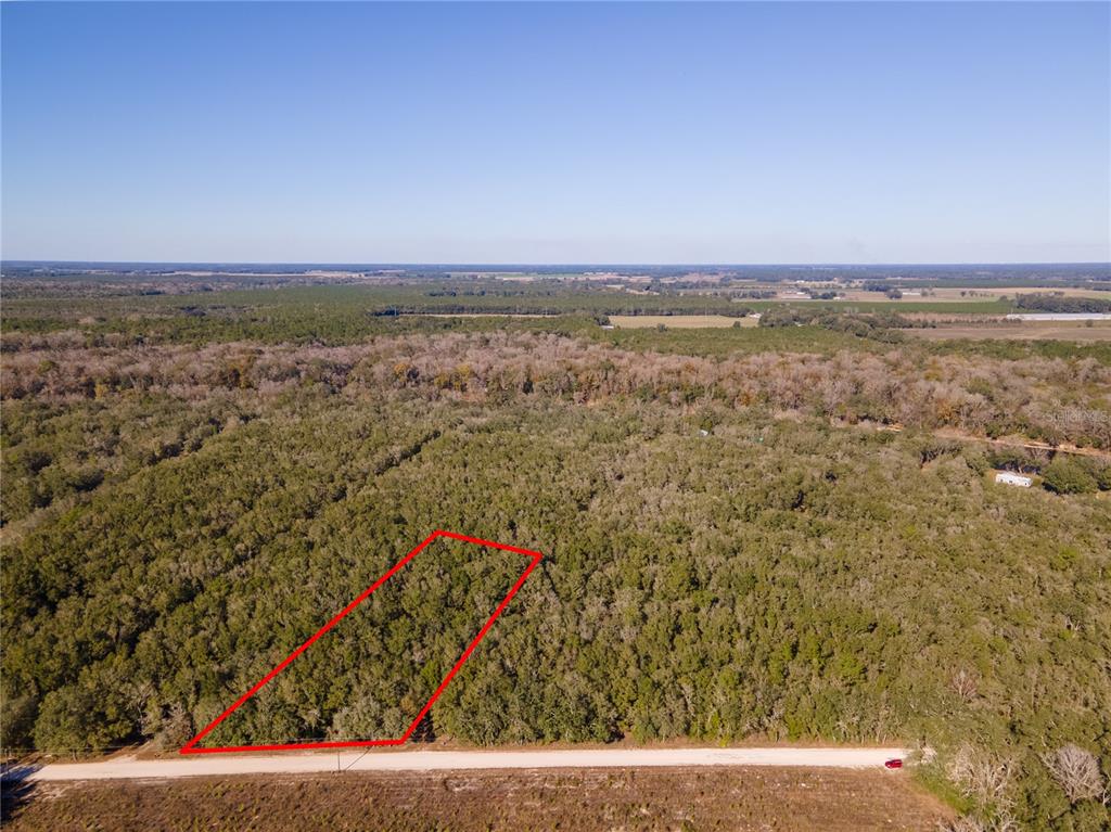0 Northeast Tansy Road Mayo, FL 32066 - Photo 1 of 1 Gallery Image 1