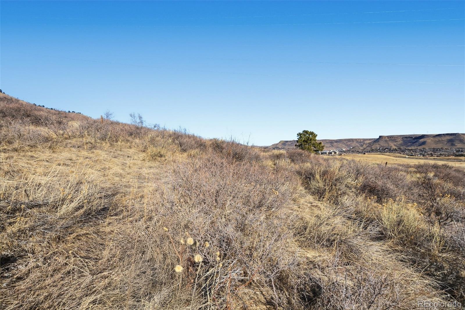 858 Shelton Road Golden, CO 80401 - Photo 5 of 18 a view of a mountain range with trees in the background
